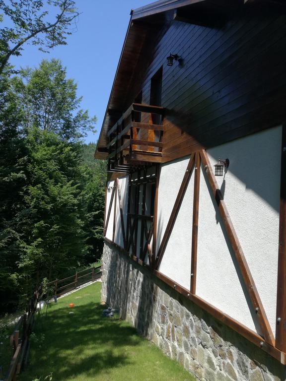 Casa Gozna Văliug Exterior foto