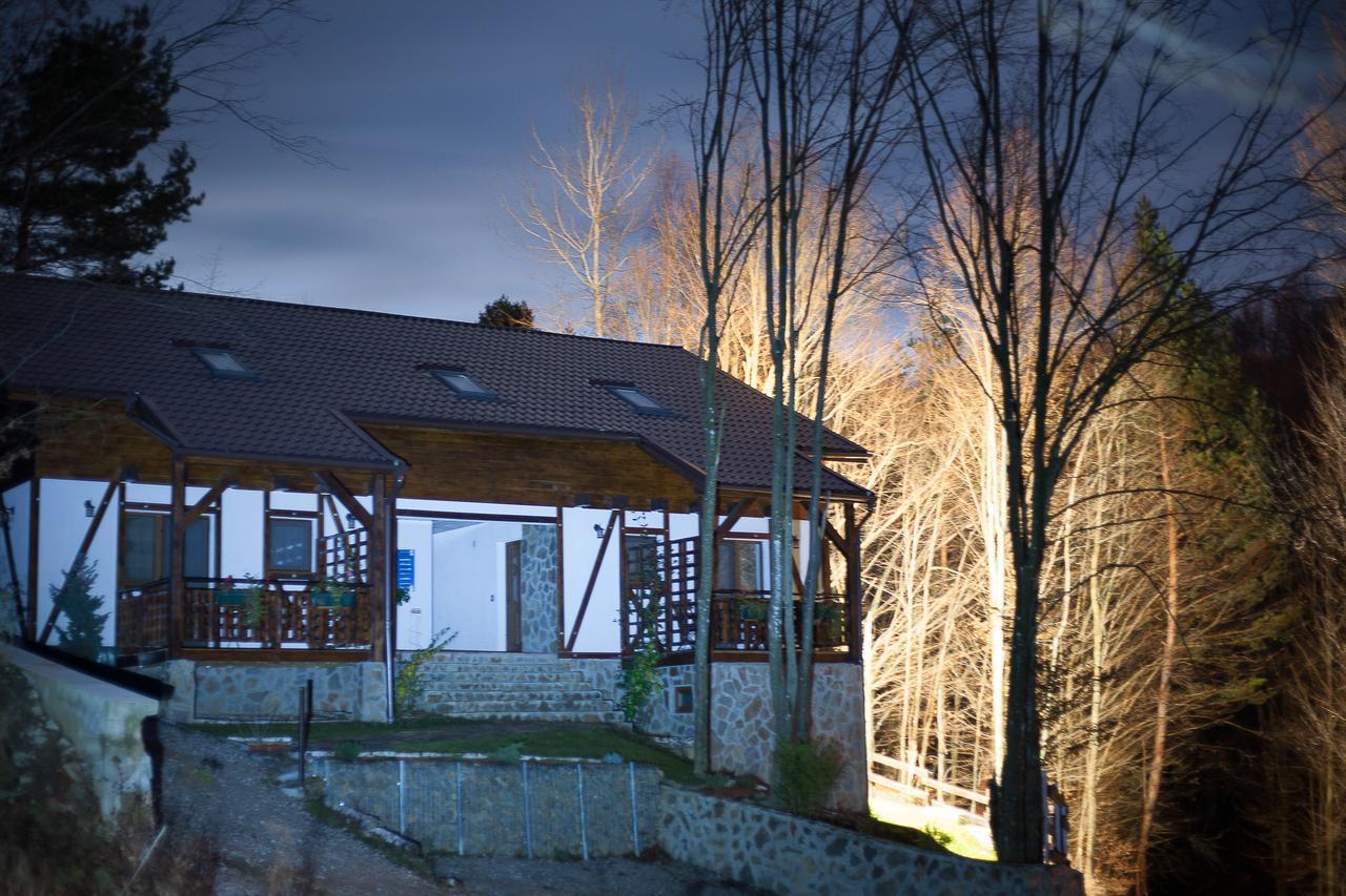 Casa Gozna Văliug Exterior foto