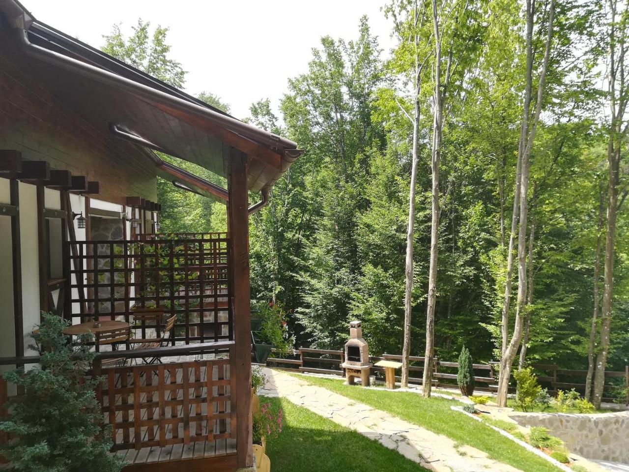 Casa Gozna Văliug Exterior foto