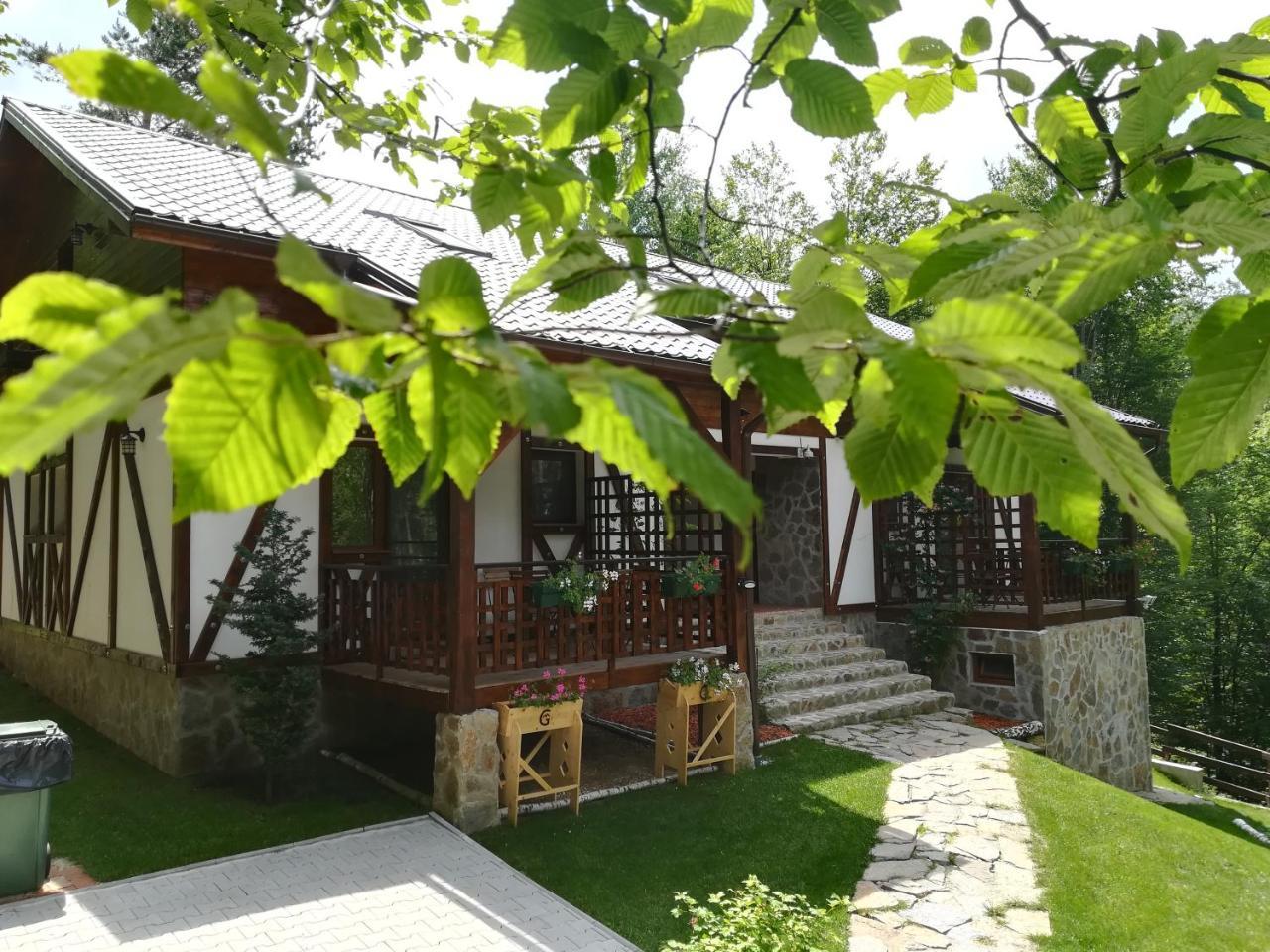 Casa Gozna Văliug Exterior foto