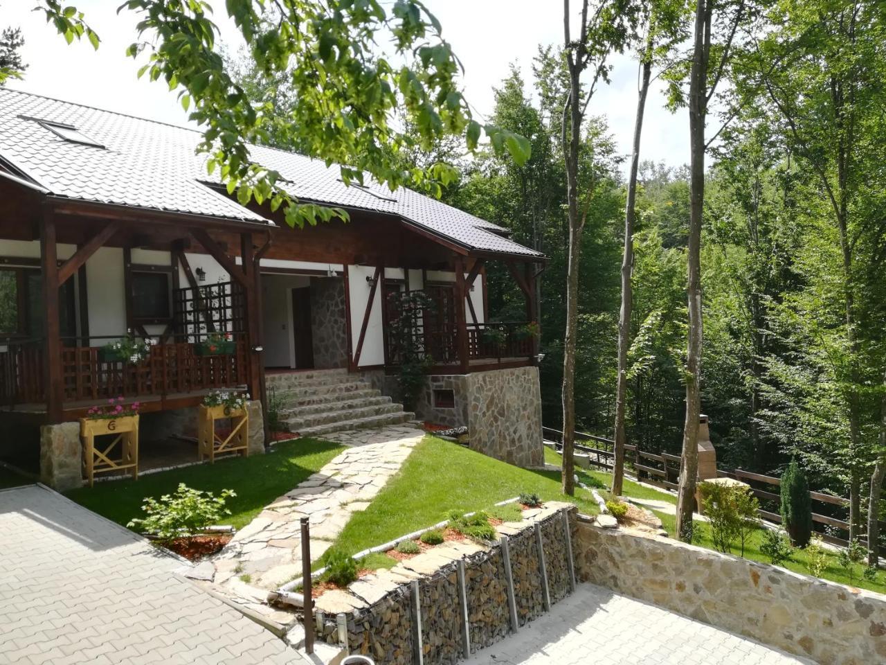 Casa Gozna Văliug Exterior foto